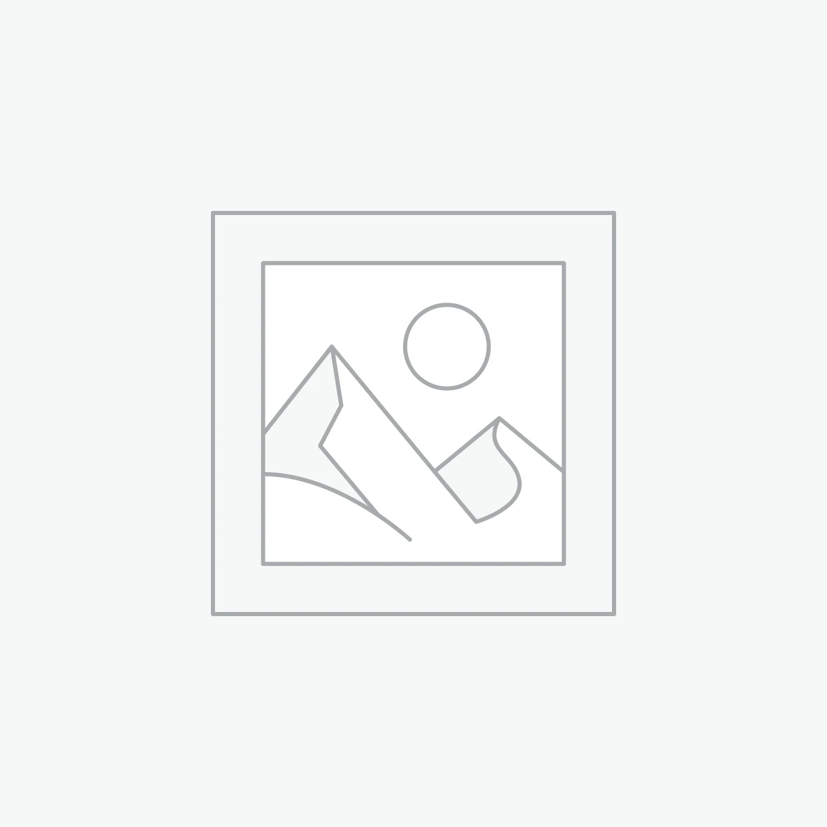 شاحن لاسلكي سريع